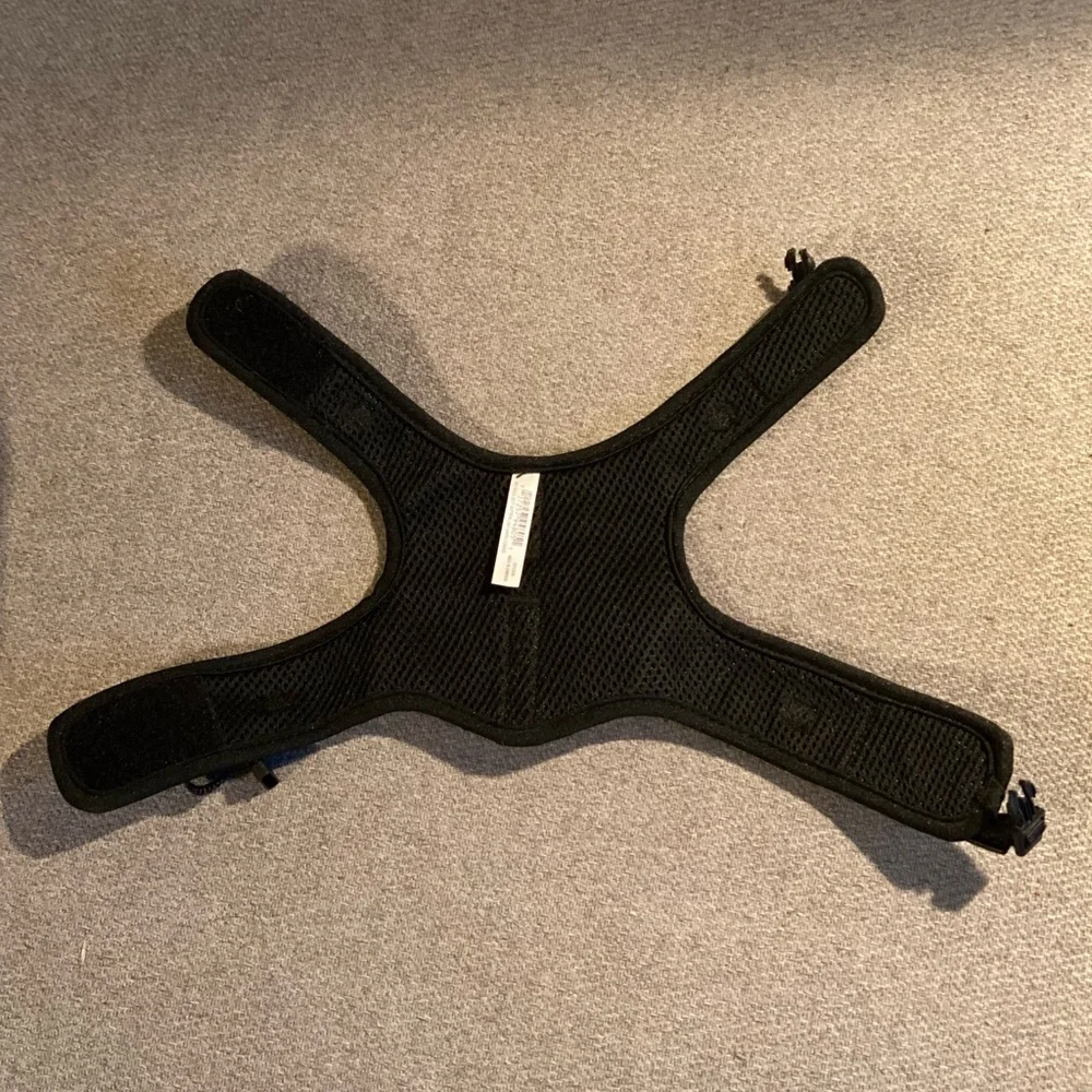 Adorable size small kitten harness